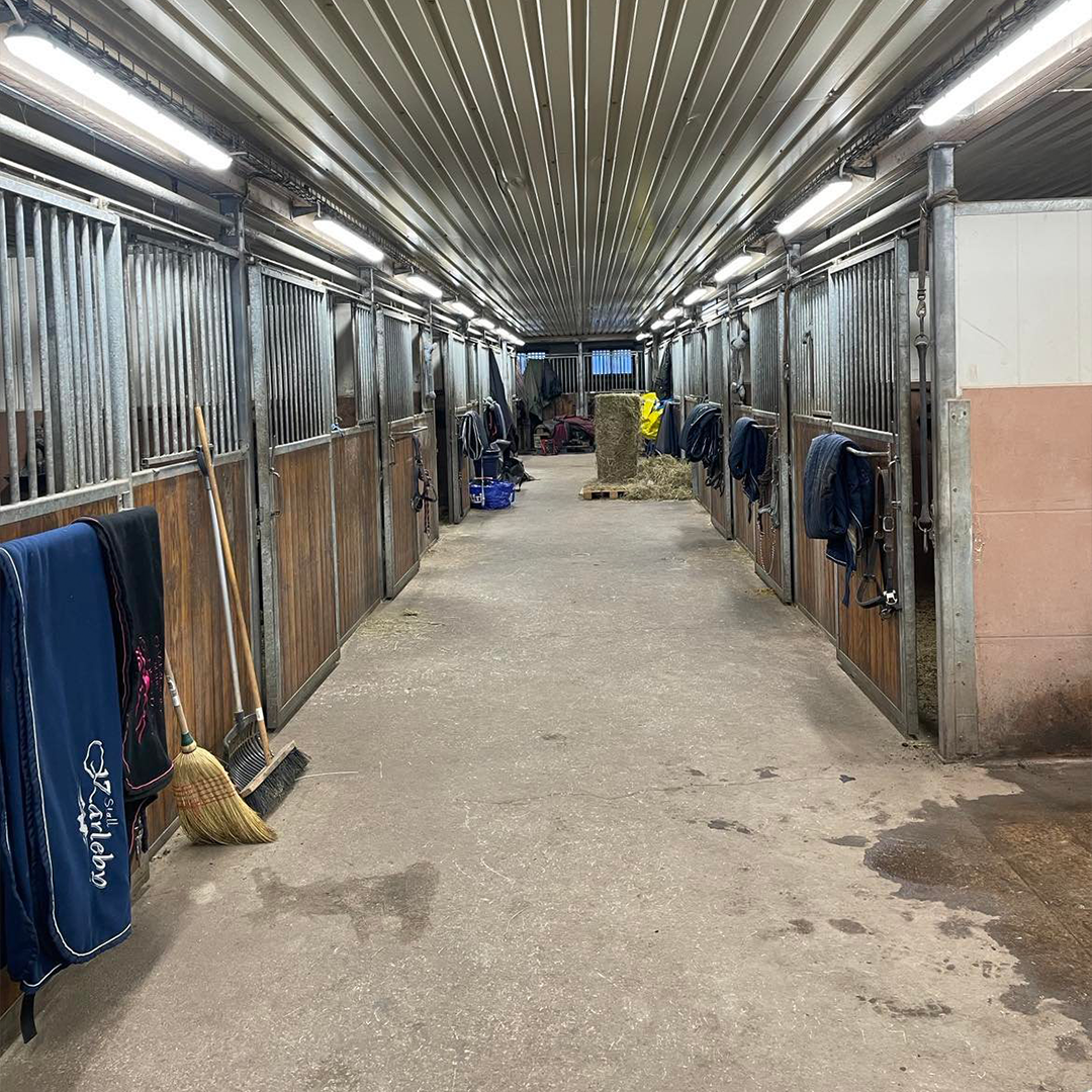 LED Armatur | 150 cm | 60W | IP65 | D-märkt